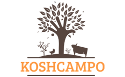 logoKoshcampo